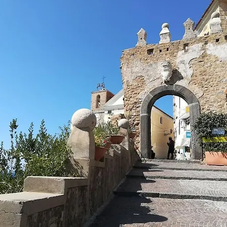 L'agave * كاباتشو - بايستوم